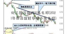 化工类基金2021怎么样(2021年买基金厦华电子怎么样)