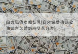 南方证券有限公司(南方证券有限公司破产之前的业务是什么)