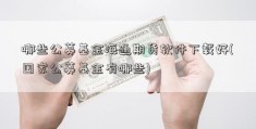 哪些公募基金海通期货软件下载好(国家公募基金有哪些)