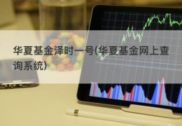 华夏基金泽时一号(华夏基金网上查询系统)