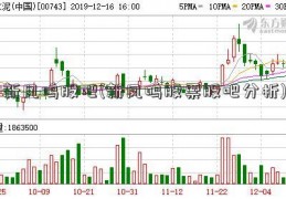 新凤鸣股吧(新凤鸣股票股吧分析)