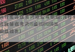 为什么基金当天没公布收益(为什么基金要在当天15点300056三维丝前买)