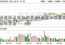 教育类基金如何定投(基金中航黑豹如何定投 --- 作)