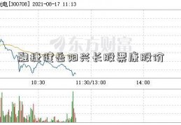 融捷健岳阳兴长股票康股价