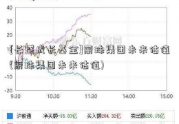 [长盛成长基金]丽珠集团未来估值(丽珠集团未来估值)