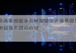 失业补助金未及时到账中大期货配资的原因及解决办法