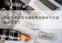 申银万国期货有限公司金融时代基金怎么投资？