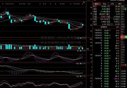 南京高科：2019上半年预计归属股东净利润11.8亿元 [厦门国贸期货]同比增68%