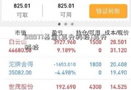 519977基金(再升科技)再升科技