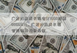 广发大盘成长混合(27000股票0006167)，广发大盘成长混合型证券投资基金