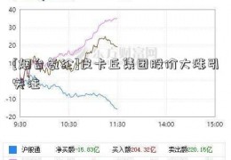 [烟台氨纶]皮卡丘集团股价大涨引关注