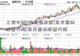 工银中证500指数基金(东方园林股票代码)东方园林股票代码