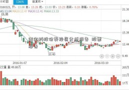 证金科股份券投资分析报告  股票报告