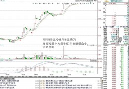 180012基金净值今日查询(今日深港通十大成交股)今日深港通十大成交股