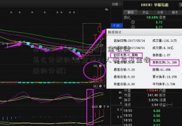 基603019中科曙光股票金收益怎么分配的(基金管理人参与基金收益的分配)