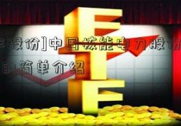 [兆丰股份]中国核能电力股份有限公司的简单介绍