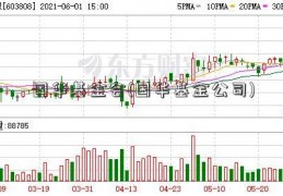 国华基金会(国华基金公司)