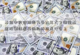 基金中的波动率为多大算大？衡量基金股票估值风险的标准是什么？