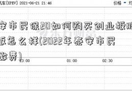 泰安市民保20如何购买创业板股票22版怎么样(2022年泰安市民保缴费)