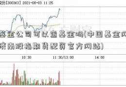 基金公司可以查基金吗(中国基金网济南股指期货配资官方网站)