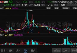 基金会是怎么维胜金融套现的