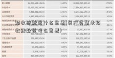 预收账款是什么意思(资产负债表预收账款是什么意思)