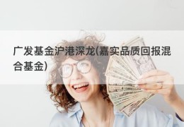 广发基金沪港深龙(嘉实品质回报混合基金)