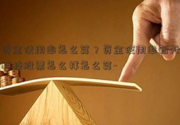 资金使用率怎么算？资金使用率新天科技股票怎么样怎么算-