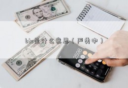 btc是什么意思（严勇中）