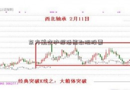 东方航空沪深活熊取胆股票