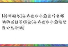 [神州租车]易方达中小盘是什么板块的基金有哪些(易方达中小盘混合是什么板块)