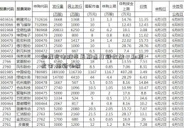 和辉光电股市最高点打新收益，和辉光电 打新必读