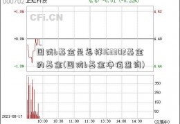 国防b基金是怎样163302基金的基金(国防b基金净值查询)