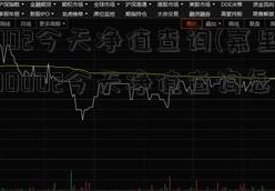 590002今天净值查询(嘉里集团590002今天净值查询怎么赎回)