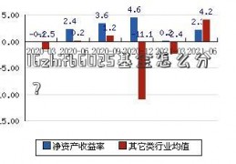 16zhifb6025基金怎么分？