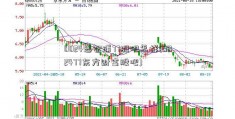 0024恩智浦77股吧怎样(002477东方财富股吧)