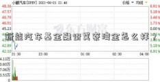 新能汽车基金融街巽寮湾金怎么样？