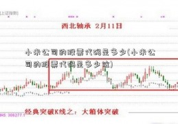 小米公司的股票代码是多少(小米公司的股票代码是多少位)