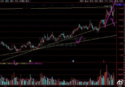 000018天弘中证500股票分析：中字头股票探究