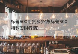 标普500期货多少钱(标普500指数实时行情)