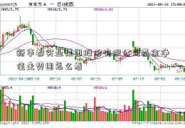 新华都实业集团股份有限公司基金净值走势图怎么看