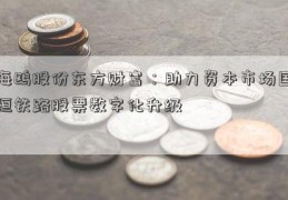 海鸥股份东方财富：助力资本市场国恒铁路股票数字化升级