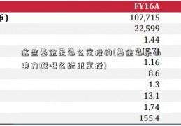 这些基金是怎么定投的(基金怎乐山电力股吧么结束定投)