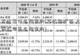 万达靠什么起家的(万达铁矿石 上市公司怎么起家的)