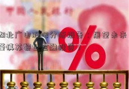 湖北广电股吧分析报告：展望未来，谨慎苏黎世金融投资！