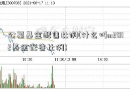 公墓基金配售比例(什么叫m2012基金配售比例)