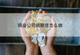 铜业公司做期货怎么做