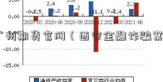 广州期货官网（西安金融诈骗案）