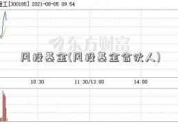 风投基金(风投基金合伙人)