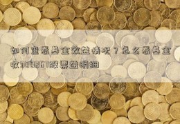 如何查看基金效益情况？怎么看基金收300267股票益明细